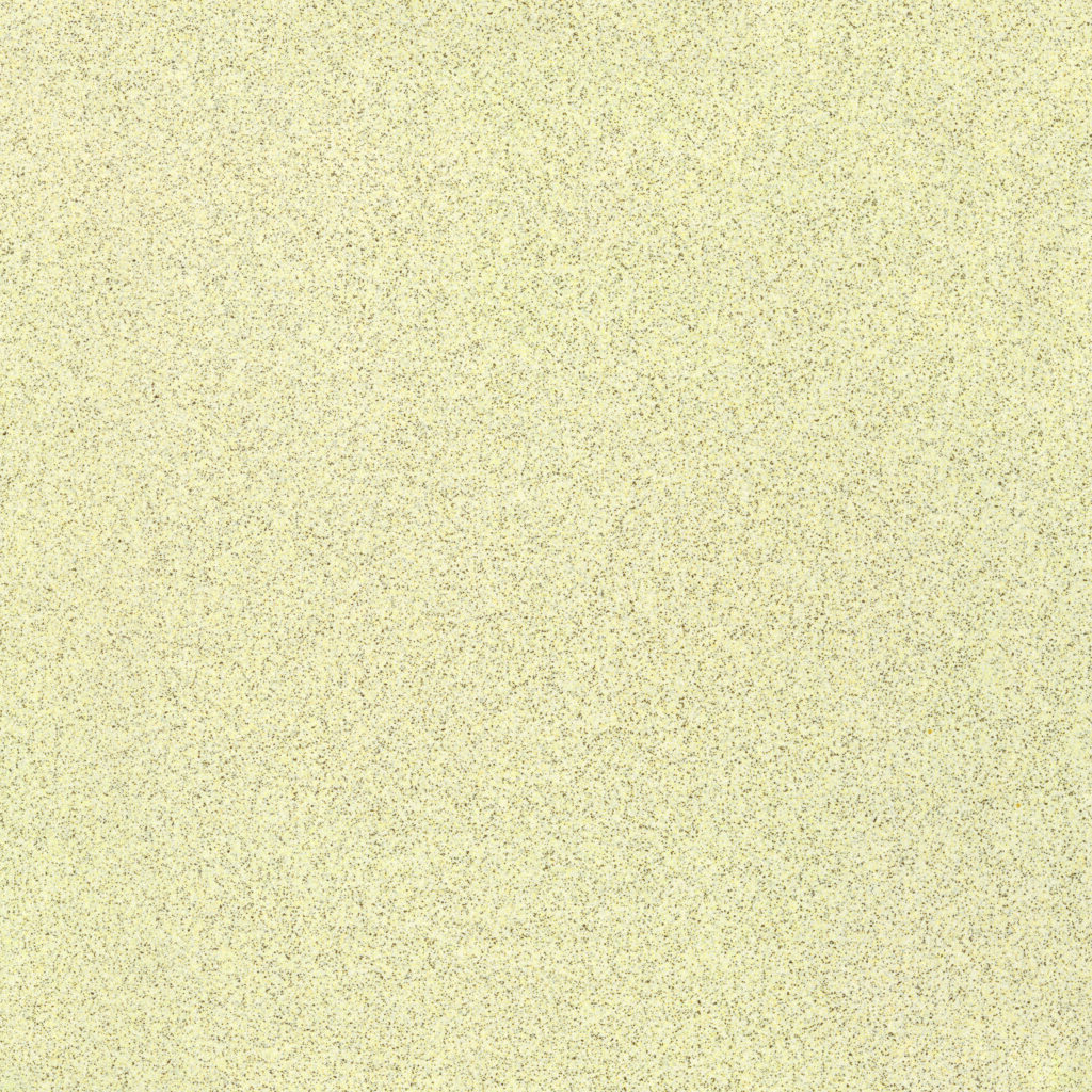 STONE BISCUIT